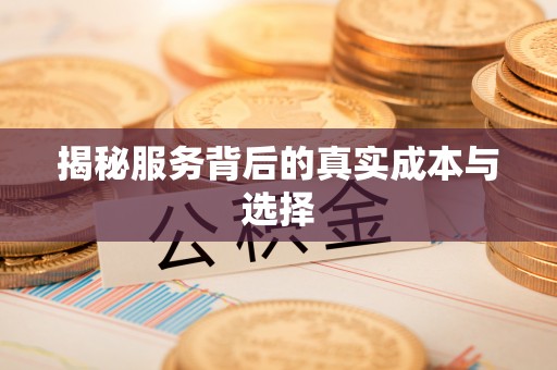 浑源揭秘服务背后的真实成本与选择