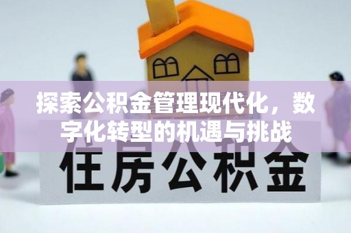 浑源探索公积金管理现代化，数字化转型的机遇与挑战