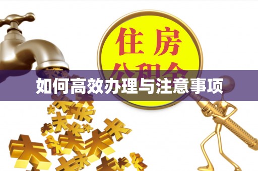 浑源如何高效办理与注意事项