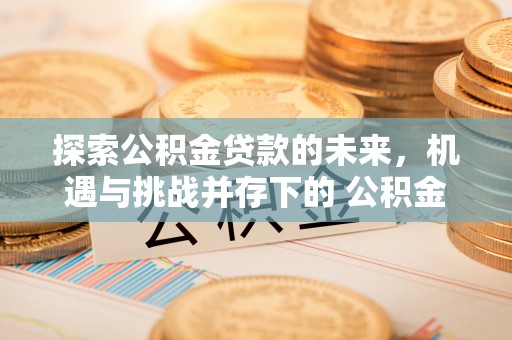 浑源探索公积金贷款的未来，机遇与挑战并存下的 公积金贷款风险防控