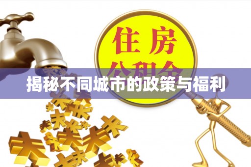 浑源揭秘不同城市的政策与福利
