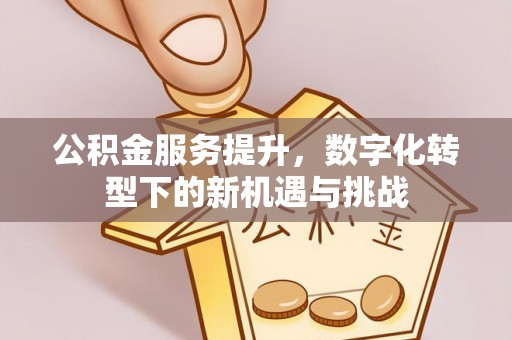浑源公积金服务提升，数字化转型下的新机遇与挑战