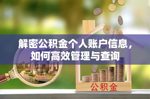 浑源解密公积金个人账户信息，如何高效管理与查询