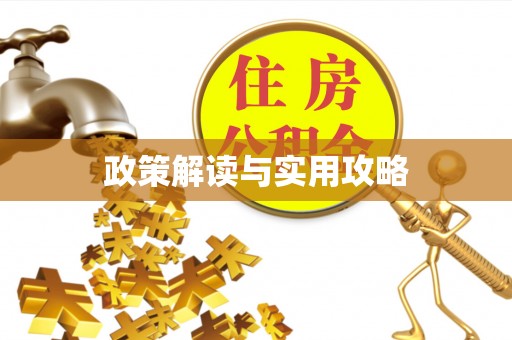 浑源政策解读与实用攻略