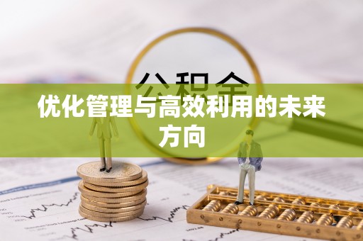 浑源优化管理与高效利用的未来方向
