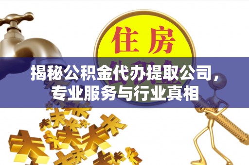 浑源揭秘公积金代办提取公司，专业服务与行业真相
