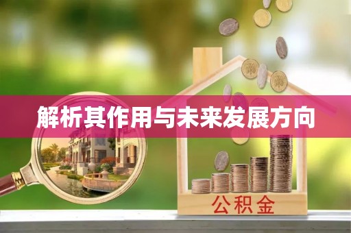 浑源解析其作用与未来发展方向