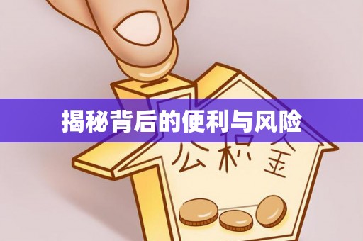 浑源揭秘背后的便利与风险