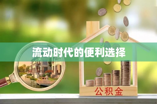 浑源流动时代的便利选择